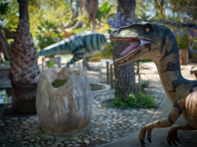 dino2_7