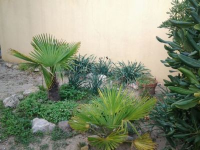 Meublé de M. BOMPART Didier_11