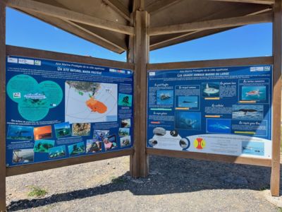 visite guidée : Le Cap d'Agde Entre Terre et Mer_Le Cap d'Agde_2