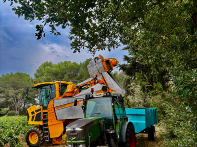 Domaine des Fontaines_Lieuran-lès-Béziers_7