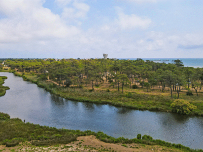 Camping La Tamarissière - La Tamarissière_10