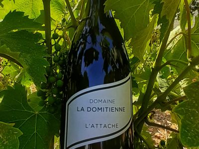 L'Attache 2020_8