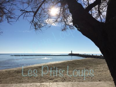 Demurger - Grau d'Agde_13