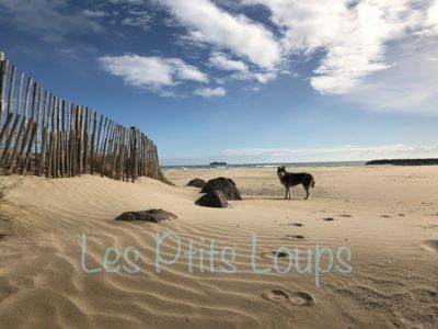 Demurger - Grau d'Agde_15
