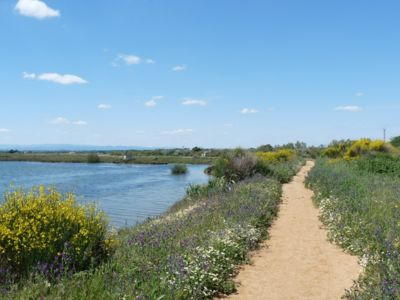Maison à portiragnes plage_9