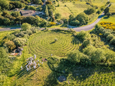 La vigne en Spirale d'Allegria _3