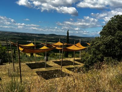 Les terrasses d'Allegria _4