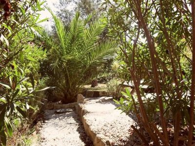 Beziers-jardin-cote-nord-1_18