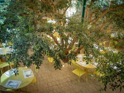 Le Patio_Béziers_6