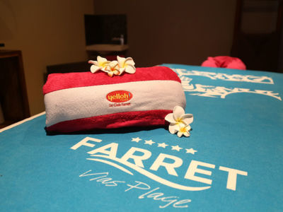Spa Farret à Vias-Plage - Salle de massage_3