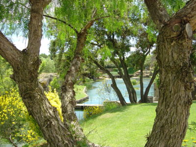 Jardin de Saint Adrien - Servian_3