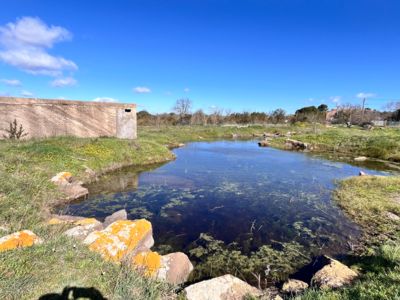 Le Grau d'Agde : un Patrimoine Insoupconné_Le Grau d'Agde_3