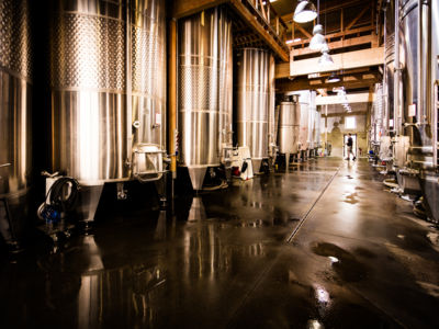 La cave de vinification