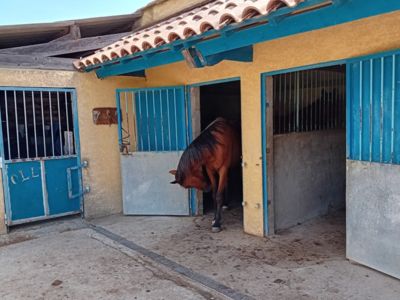 Villa des lavandins_17