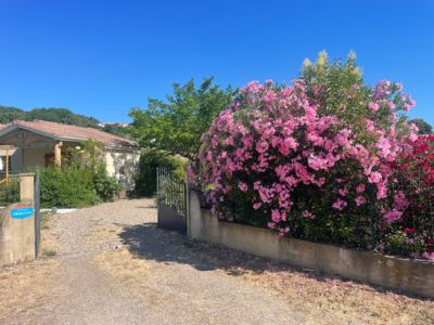 Les lauriers roses_25