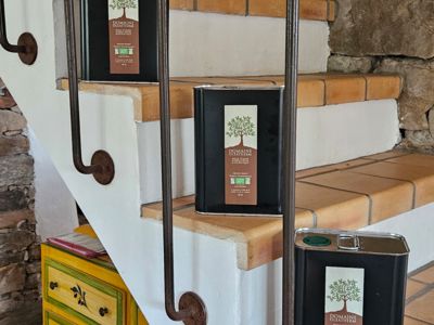 7 gîte de l olivette 02 2024 (1)