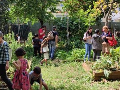 MINI-JEUX PÉDAGOGIQUES AUTOUR DE LA BIODIVERSITÉ