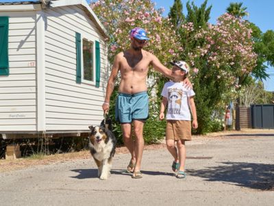 Allée du camping
