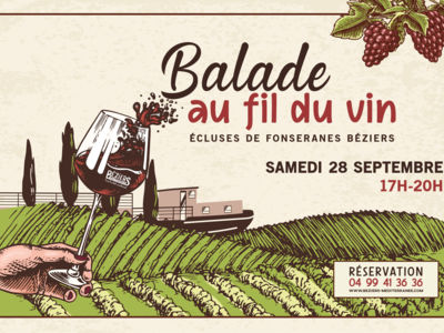 BALADE AU FIL DU VIN