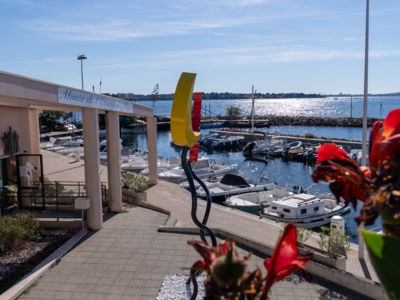 BAM_-_Reflets_nocturnes--Richard_Di_Rosa__Reflets_nocturnes__2025__Bouzigues__ADAGP_-_photo___Office_de_Tourisme_Archipel_de_Thau-35046