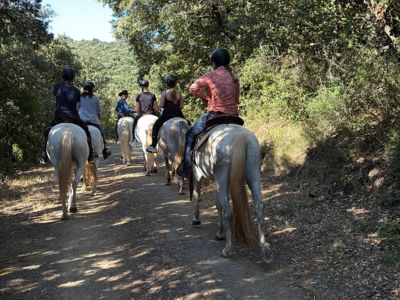 Balade à cheval - A l'ombre sous les arbres
