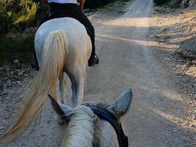 Balade à cheval - Dans les sentiers du Cirque