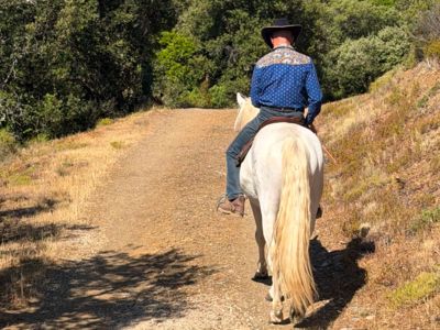 Balade à cheval - L'accompagnateur équestre