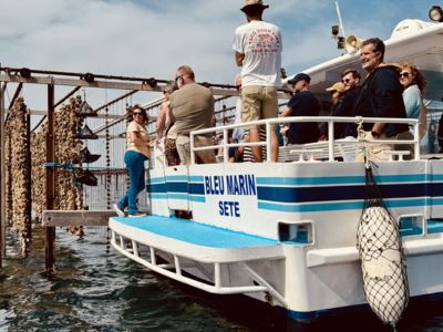 Bleu Marin accosté sur la table pédagogique