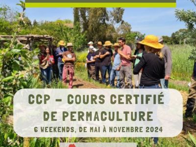 COURS CERTIFIÉ DE PERMACULTURE (CCP) - OASIS CITADINE Du 21 sept au 17 nov 2024