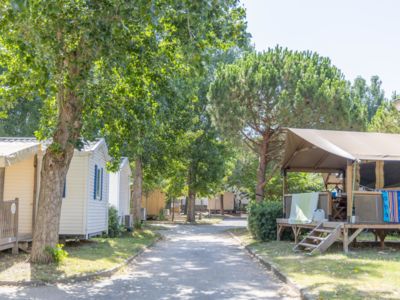 Camping Etoile de mer Eden village@Karinegregoire (134)