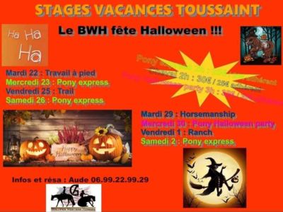 STAGES VACANCES DE LA TOUSSAINT - BOLUFER WESTERN HORSE FÊTE HALLOWEEN