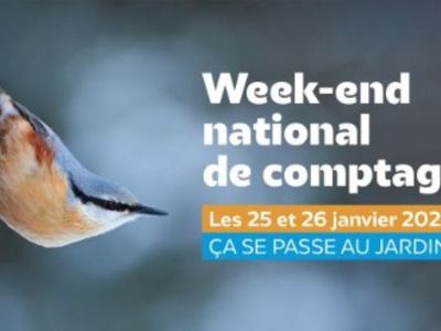 WEEK-END DE COMPTAGE NATIONAL DES OISEAUX DE JARDIN Du 25 au 26 janv 2025