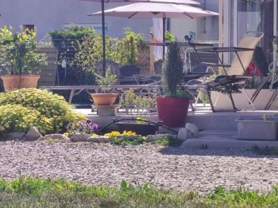 Chambres d'hôtes Sauvian jardin extérieurs