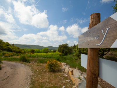 Château Lancyre balade Lancyre en liberté vin pic saint loup