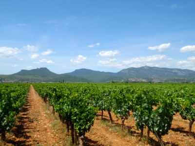 Cht de Jonquie¦Çres, Vignes et Larzac