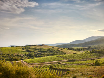 Colline d'ensemble chai, mazet