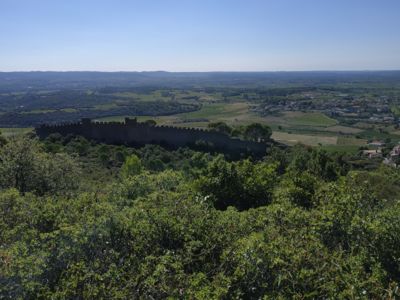 MARCHE ENTRE GARRIGUE ET PLAINE VITICOLE