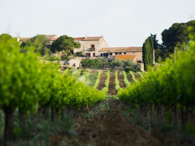 DOMAINE D'HONDRAT VILLEVEYRAC VIGROUX ROMAIN (1)