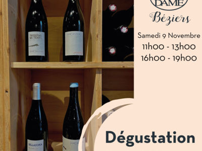 DEGUSTATION DES VINS DU DOMAINE SAINT DAUMARY Le 9 nov 2024