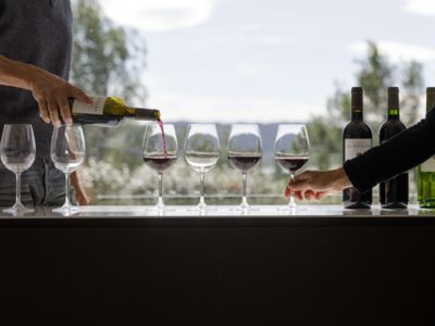 Dégustation vins
