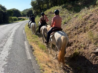 Départ balade à cheval