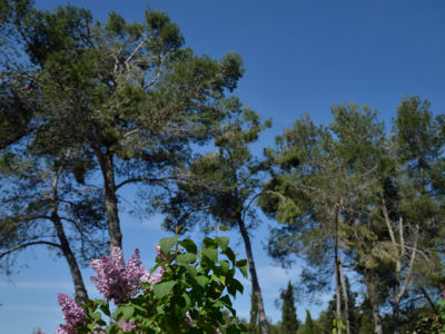 Domaine 1