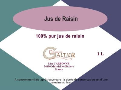 Domaine Galtier jus de raisin galtier nx - OT AVANT MONTS 2022