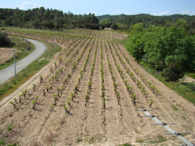 Domaine Anne Allié 3