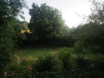 Du jardin vue sur le magnolia