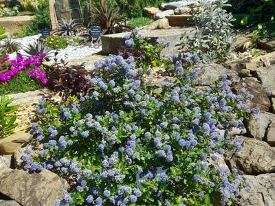Espace fleuri 1