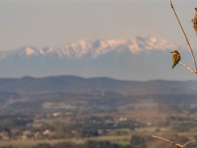 À LA DÉCOUVERTE DU PATRIMOINE NATUREL DE L