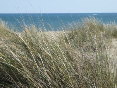 HLOLAR034NO09770_9