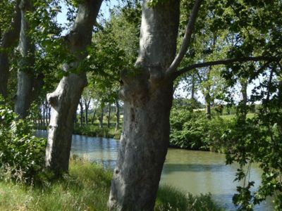 HLOLAR034NO09770_13