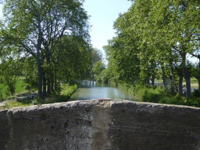 HLOLAR034NO09770_14